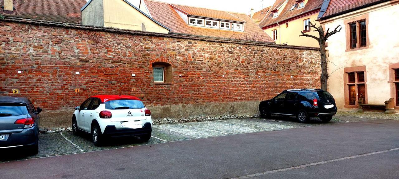 זלסטאט Le Rhenanus Jacques Taurellus - Appartement Duplex Au Calme - Centre Ville - Parking Gratuit מראה חיצוני תמונה