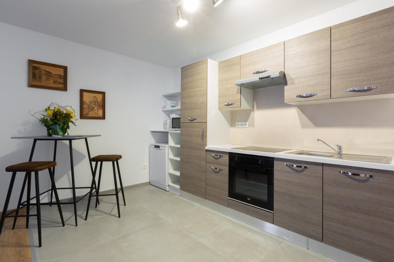 זלסטאט Le Rhenanus Jacques Taurellus - Appartement Duplex Au Calme - Centre Ville - Parking Gratuit מראה חיצוני תמונה