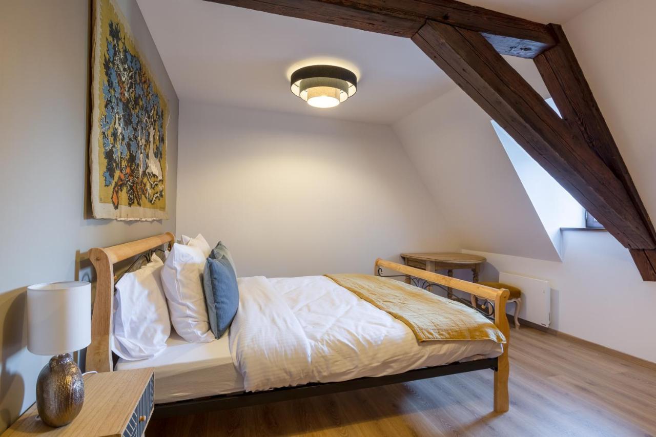 זלסטאט Le Rhenanus Jacques Taurellus - Appartement Duplex Au Calme - Centre Ville - Parking Gratuit מראה חיצוני תמונה
